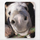 Suche nach maultiere mousepads Bauernhof