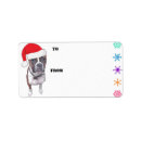 Recherche de noël de boxeur Amoureux des animaux