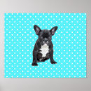 Suche nach kleiner blauer hund poster Niedlich