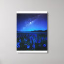 Suche nach lupinen poster leinwandbilder Neuseeland