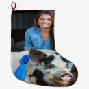 Recherche de bétail chaussette de noël Porc