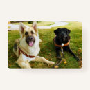 Suche nach mädchen können ausweise Niedlich