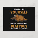 Suche nach platypus poster Spaß