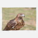 Suche nach raubvögel geschirr tücher Wild