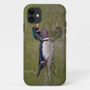 Recherche de aviaire iphone coques Nature