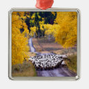 Recherche de moutons ornements Ferme