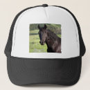 Recherche de étalon casquettes Cheval