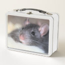 Suche nach ratten brotdosen Haustier