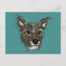 Recherche de dessin de chien cartes postales Amoureux des animaux