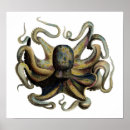 Recherche de calmar posters Pêche