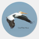 Suche nach pelikan aufkleber Vogel