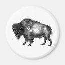 Suche nach bison magnete Große ebenen