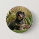 Recherche de poils badges Fleurs