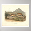 Suche nach kalifornien geschichte poster Bancroft