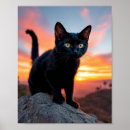 Recherche de silhouette de chat posters Toute personne