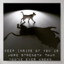 Recherche de citation lion art Chat