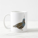 Recherche de cailles tasses Animal