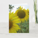 Recherche de sunflower vœux cartes Jardin
