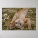 Recherche de cute kitten posters Orange