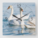 Recherche de cygne horloges Lac