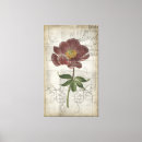 Suche nach cartouche leinwandbilder Blüte