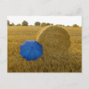 Suche nach ungleich Blau