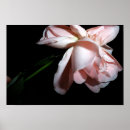 Recherche de danse photographie posters Fleur