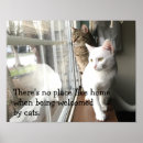 Suche nach katze fenster poster Katzenliebhaber