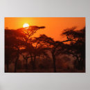 Suche nach schattenbild poster Sonnenuntergang