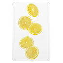 Recherche de citron magnets Fruits