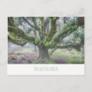 Recherche de madeira cartes postales Portugal