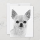 Recherche de oeuvres cartes postales Illustration