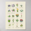 Recherche de plantes vertes posters Tendance