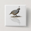Recherche de caille badges Oiseau