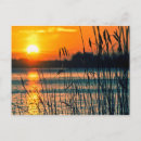 Suche nach schilfe postkarten See