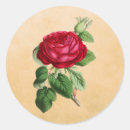 Suche nach vintage rote rose aufkleber Natur