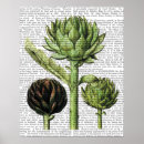 Suche nach artischocken poster Blumen