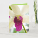 Recherche de madame vœux cartes Unique