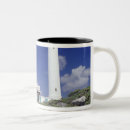 Recherche de punta tasses Sable