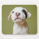 Suche nach gepunkteter hund mousepads Welpe