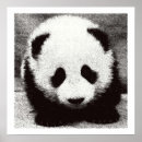 Suche nach junger panda poster Tragen