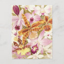 Recherche de rose pourpre cartes postales Toute personne