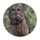 Recherche de chouette planches à découper Faune