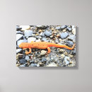 Suche nach salamander kunst Tiere