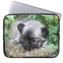 Recherche de chiwawa ordinateurs portables protections 7 semaines