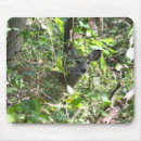 Suche nach whitetail mousepads Tiere
