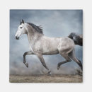 Suche nach schönes pferd magnete Tier