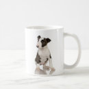 Recherche de mon bull terrier tasses Chiot