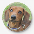 Recherche de dachshund paper assiettes Mignon