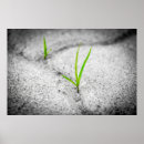 Suche nach asphalt poster Textur